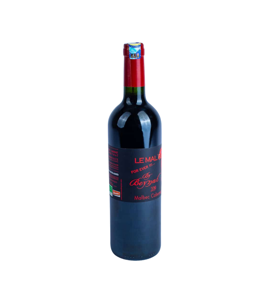 Chateau Beynat Le Mal by Beynat