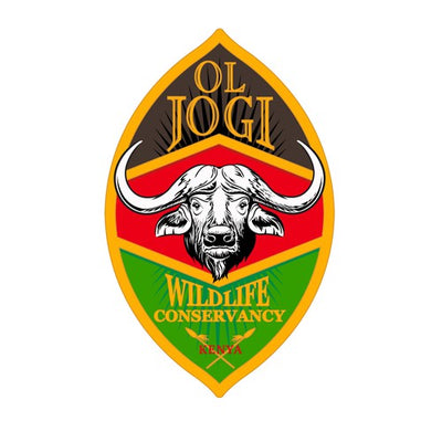 Partner logo 4